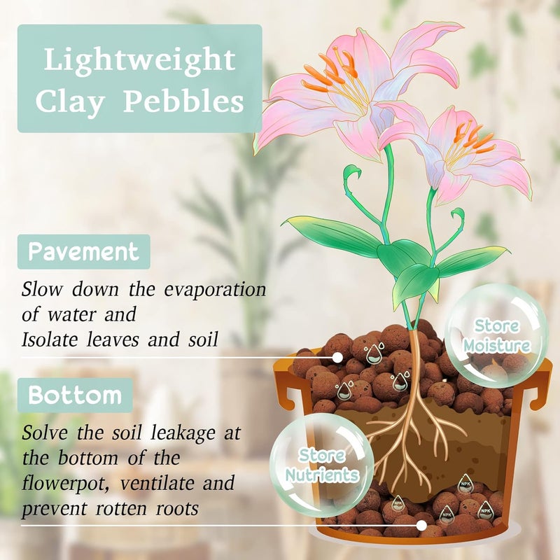 Legigo 6 LB Organic Leca Clay Pebbles for Plants, 4mm-16mm 100% Natural Leca Balls for Indoor Plants, Hydroton Clay Pebbles for Plants Hydroponic Aquaponics Growing Orchid Drainage Terrarium - Image 4